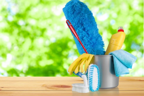 Accessible Cleaners Wisscottage webpage on a screen reader compatible device