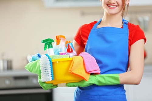 Professional oven cleaning for a Wisscottage home kitchen