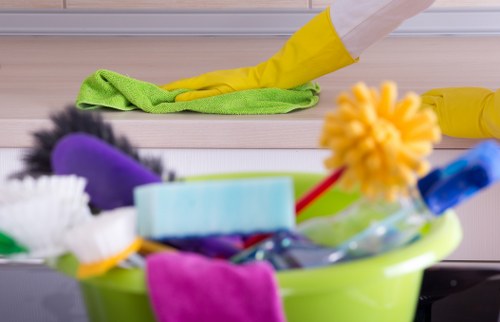 Local cleaning team providing regular house cleaning in Wisscottage