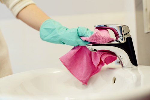 Scheduled cleaning visit for a Wisscottage household or workplace