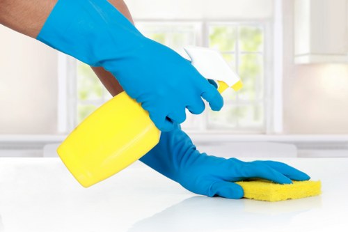 Professional one off cleaning service for a home in Wisscottage
