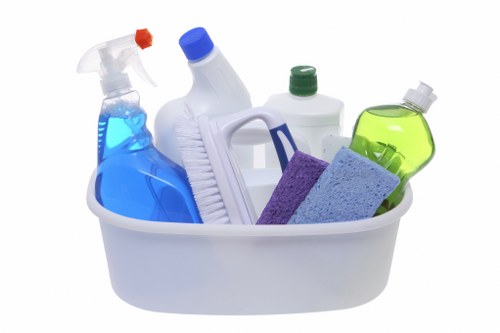 Supervisor reviewing safe cleaning procedures with staff