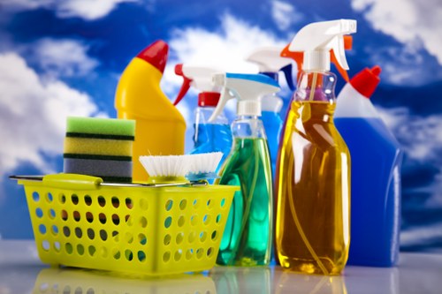Local house cleaning service for homes in Wisscottage