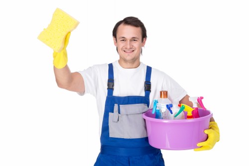 Professional regular cleaning in a Wisscottage home setting
