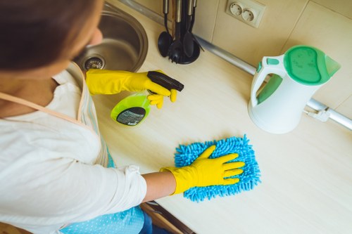 Cleaning trays and oven interior during a deep oven clean