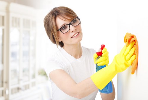 Detailed kitchen deep cleaning in a Wisscottage home