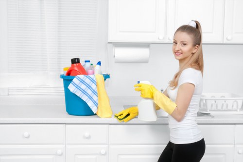 Wisscottage cleaning team handling detailed residential cleaning tasks