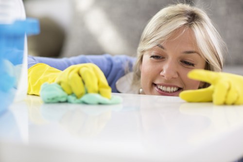 Local team preparing for a house cleaning appointment in Wisscottage