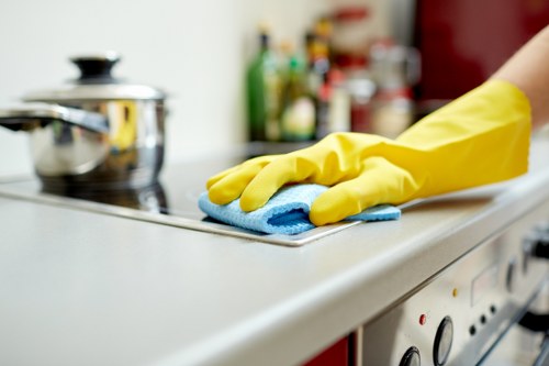 Customized cleaning approach for a tidy Wisscottage property