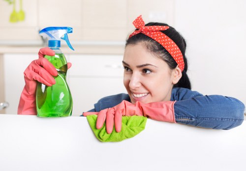 Image representing fair review of a cleaning complaint