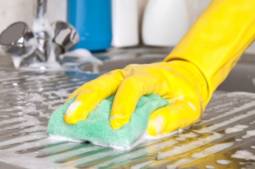 Professional cleaning of windows and fixtures after construction in Wisscottage