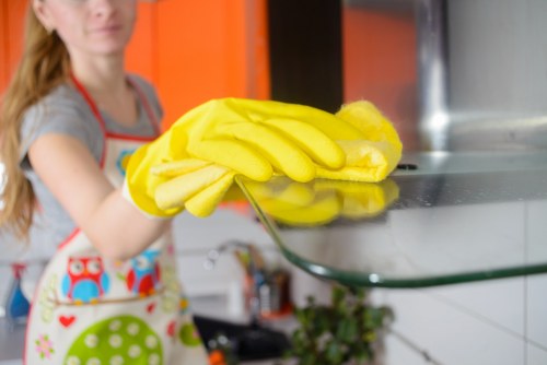 Customer booking a cleaning appointment with service details