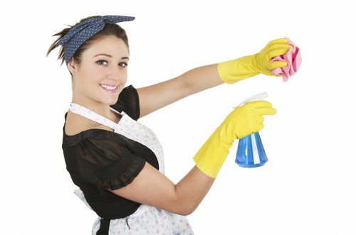 Deep cleaning a family sofa in a Wisscottage home