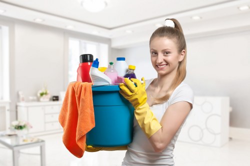 Cleaners Wisscottage secure payment process showing protected transaction symbols