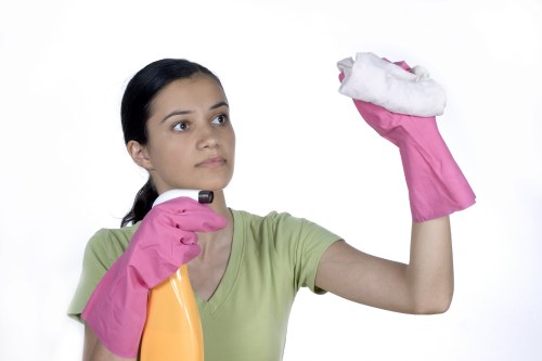 Stain treatment and deep cleaning for rugs in Wisscottage properties
