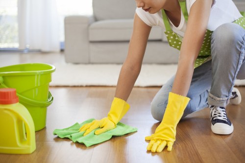 Deep carpet cleaning for a busy Wisscottage household or rental home