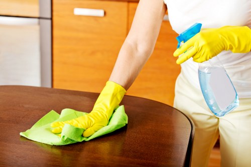 Deep cleaning tasks in a Wisscottage kitchen and bathroom